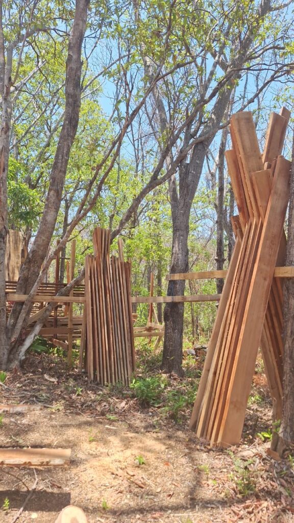 Repurposing Pochote Trees