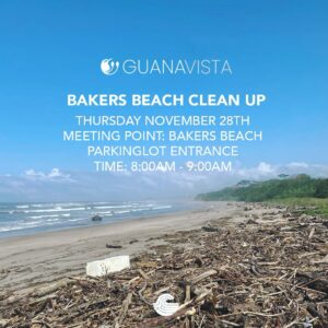 Thanksgiving beach cleanup